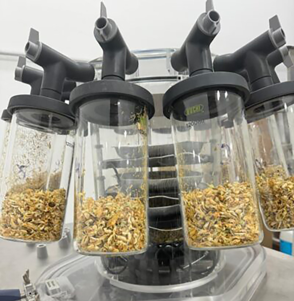 Immagine-WhatsApp-2025-07-15-ore-16.33.38_ce57f8c4-400×533