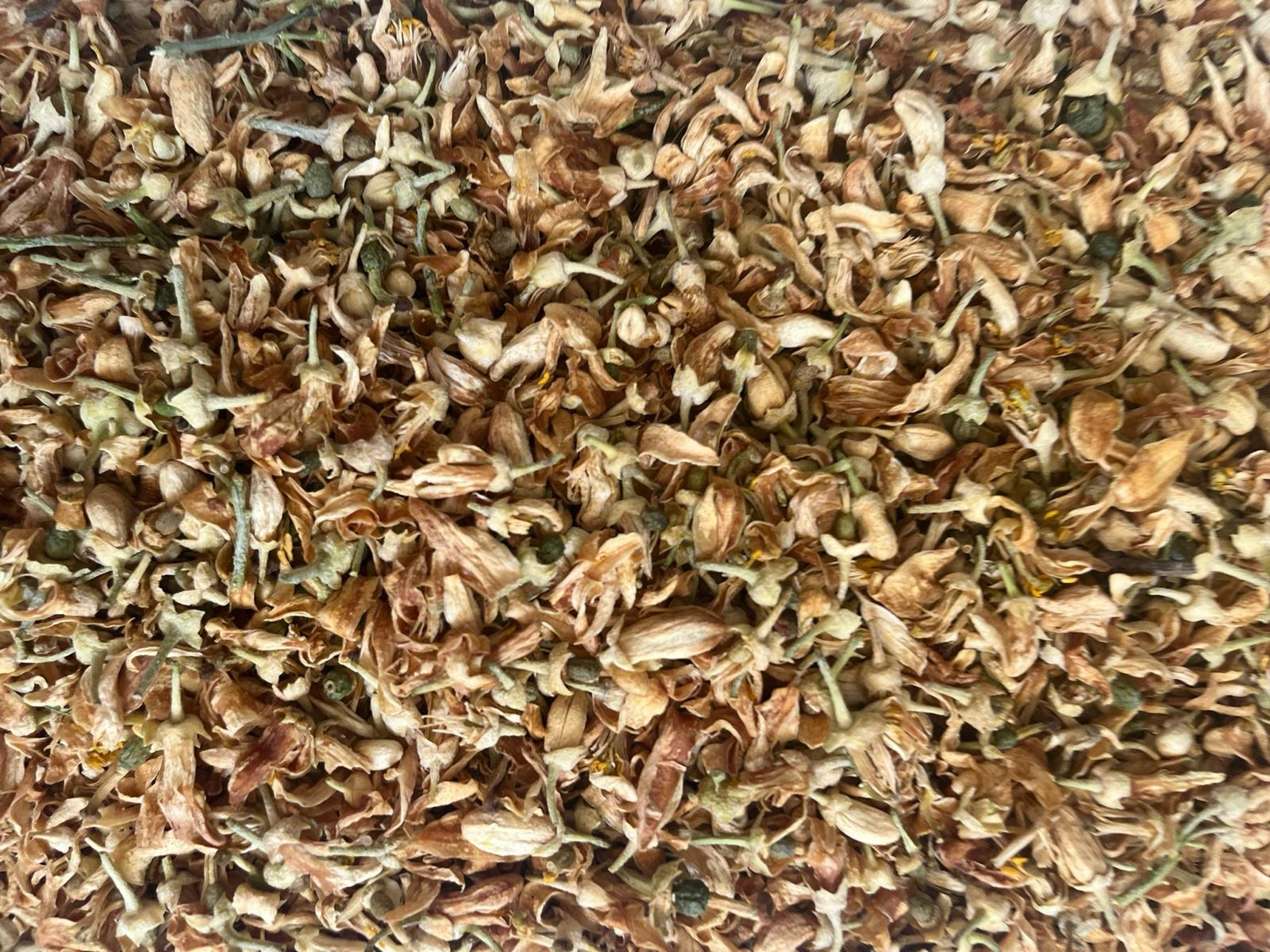 Immagine WhatsApp 2025-07-15 ore 16.33.38_fddda233